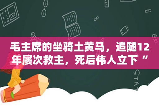 毛主席的坐骑土黄马，追随12年屡次救主，死后伟人立下“三不准”