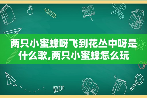 两只小蜜蜂呀飞到花丛中呀是什么歌,两只小蜜蜂怎么玩