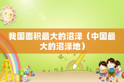 我国面积最大的沼泽（中国最大的沼泽地）