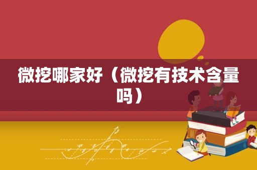 微挖哪家好（微挖有技术含量吗）