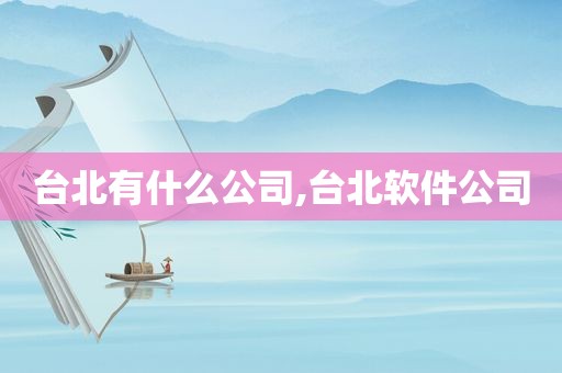 台北有什么公司,台北软件公司