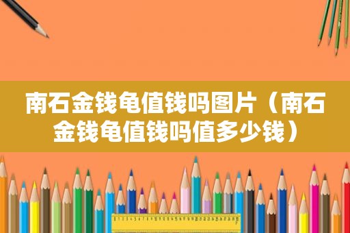 南石金钱龟值钱吗图片（南石金钱龟值钱吗值多少钱）