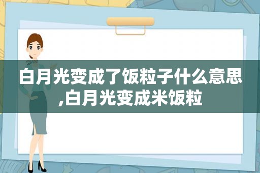 白月光变成了饭粒子什么意思,白月光变成米饭粒