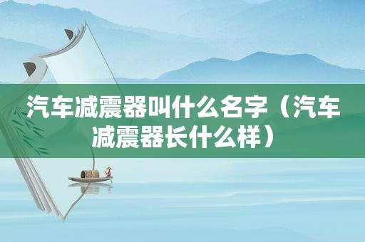 汽车减震器叫什么名字（汽车减震器长什么样）
