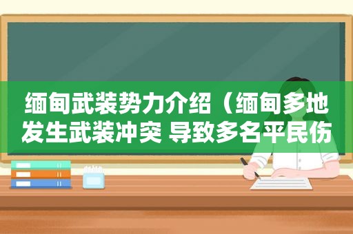 *** 武装势力介绍（ *** 多地发生武装冲突 导致多名平民伤亡）