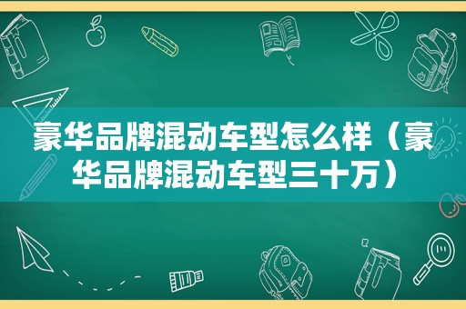豪华品牌混动车型怎么样（豪华品牌混动车型三十万）