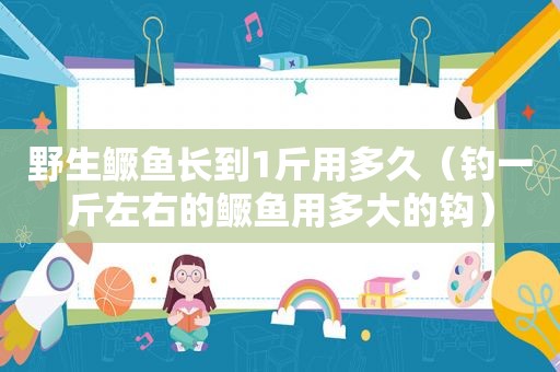 野生鳜鱼长到1斤用多久（钓一斤左右的鳜鱼用多大的钩）