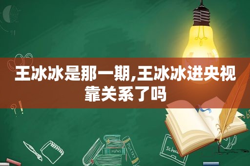 王冰冰是那一期,王冰冰进央视靠关系了吗  第1张