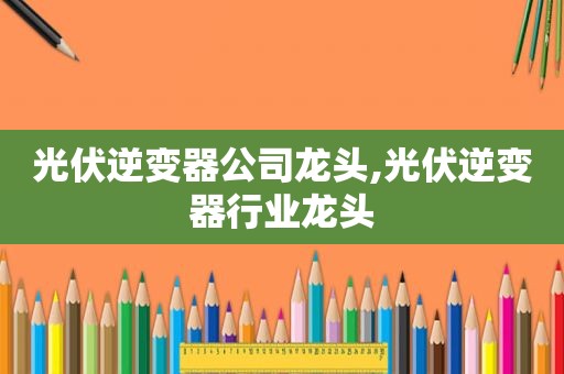 光伏逆变器公司龙头,光伏逆变器行业龙头