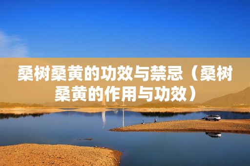 桑树桑黄的功效与禁忌（桑树桑黄的作用与功效）