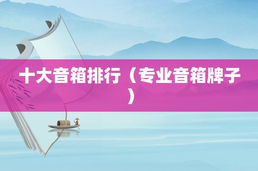 十大音箱排行（专业音箱牌子）