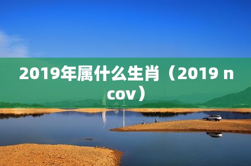 2019年属什么生肖（2019 ncov）