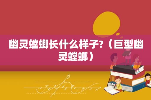 幽灵螳螂长什么样子?（巨型幽灵螳螂）