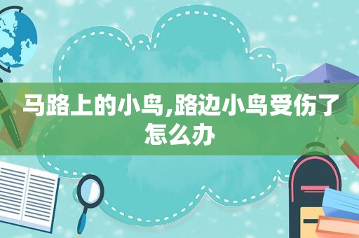 马路上的小鸟,路边小鸟受伤了怎么办