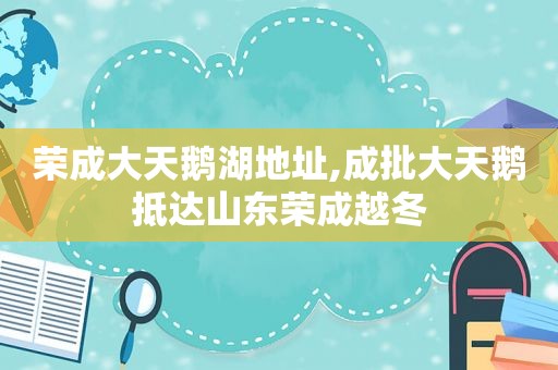 荣成大天鹅湖地址,成批大天鹅抵达山东荣成越冬