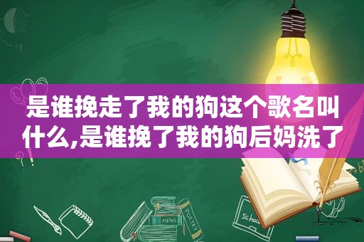 是谁挽走了我的狗这个歌名叫什么,是谁挽了我的狗后妈洗了我的碗这是什么歌