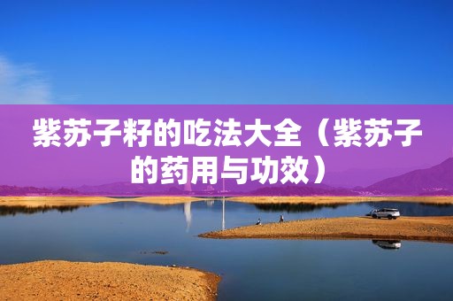 紫苏子籽的吃法大全（紫苏子的药用与功效）