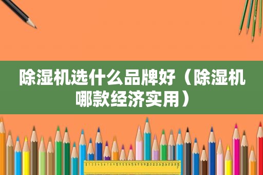 除湿机选什么品牌好（除湿机哪款经济实用）