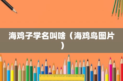 海鸡子学名叫啥（海鸡鸟图片）