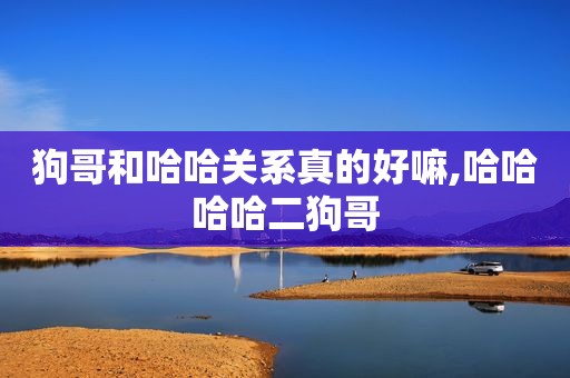 狗哥和哈哈关系真的好嘛,哈哈哈哈二狗哥