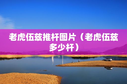 老虎伍兹推杆图片（老虎伍兹多少杆）