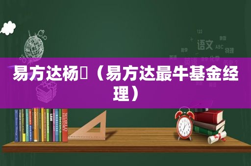 易方达杨瑨（易方达最牛基金经理）