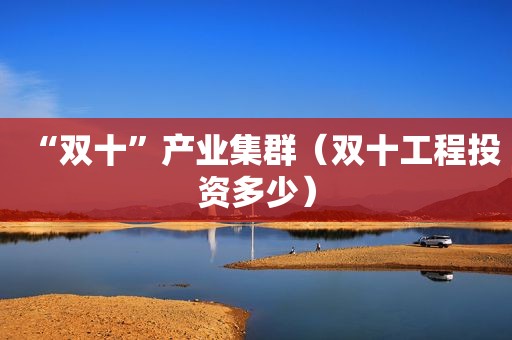 “双十”产业集群（双十工程投资多少）