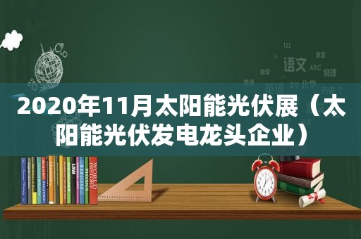 2020年11月太阳能光伏展（太阳能光伏发电龙头企业）