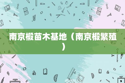 南京椴苗木基地（南京椴繁殖）