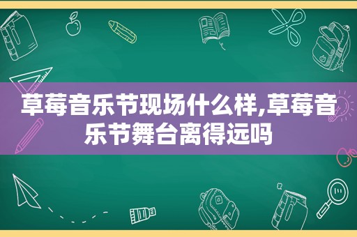 草莓音乐节现场什么样,草莓音乐节舞台离得远吗