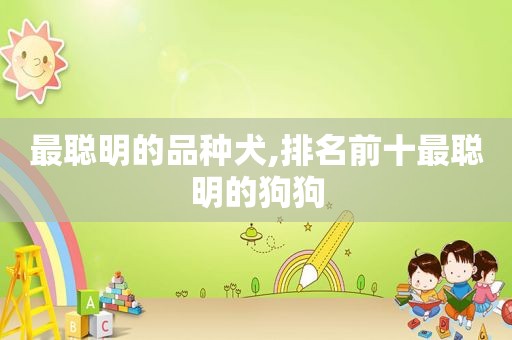 最聪明的品种犬,排名前十最聪明的狗狗