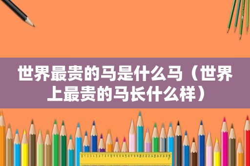 世界最贵的马是什么马（世界上最贵的马长什么样）