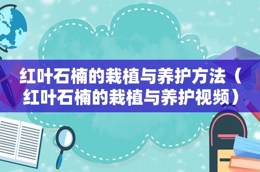 红叶石楠的栽植与养护方法（红叶石楠的栽植与养护视频）