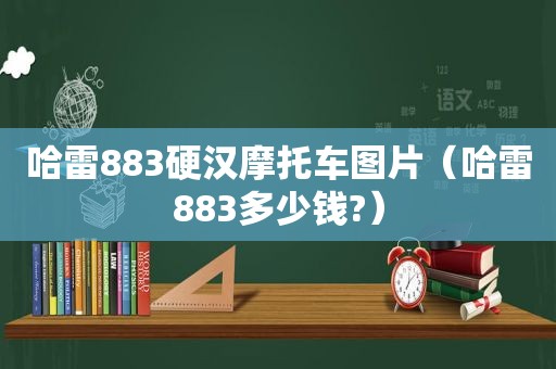 哈雷883硬汉摩托车图片（哈雷883多少钱?）