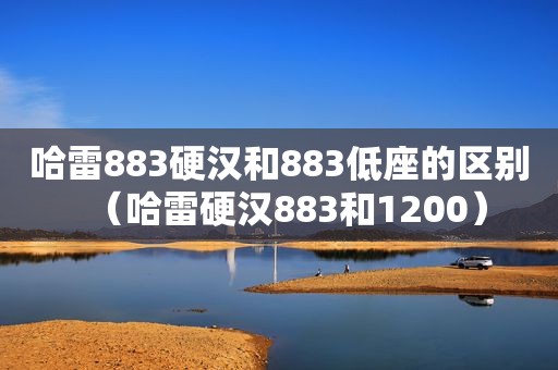 哈雷883硬汉和883低座的区别（哈雷硬汉883和1200）