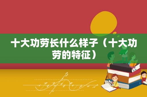 十大功劳长什么样子（十大功劳的特征）