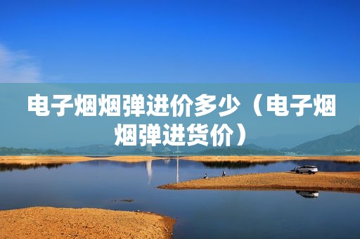 电子烟烟弹进价多少（电子烟烟弹进货价）