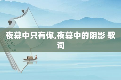 夜幕中只有你,夜幕中的阴影 歌词
