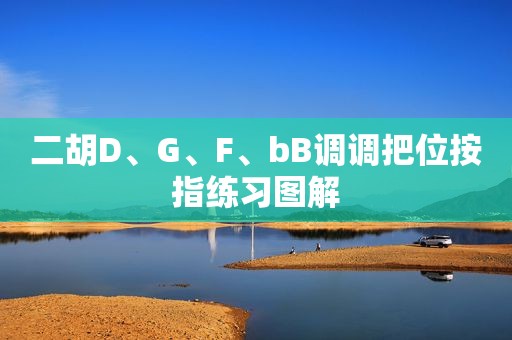 二胡D、G、F、bB调调把位按指练习图解