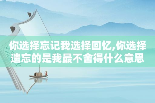 你选择忘记我选择回忆,你选择遗忘的是我最不舍得什么意思
