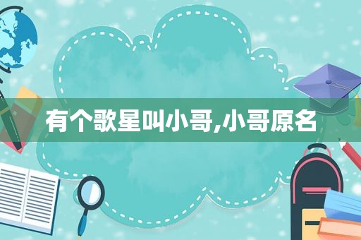 有个歌星叫小哥,小哥原名