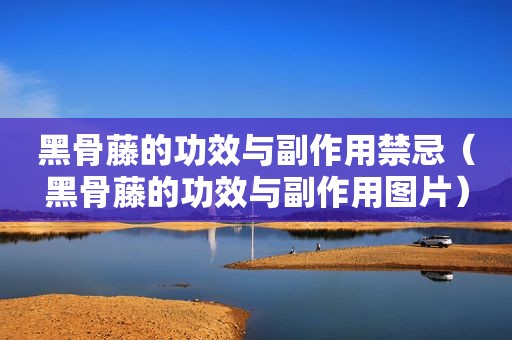 黑骨藤的功效与副作用禁忌（黑骨藤的功效与副作用图片）