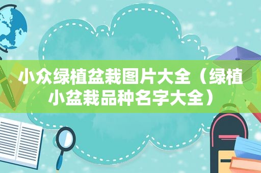 小众绿植盆栽图片大全（绿植小盆栽品种名字大全）