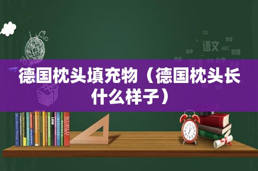 德国枕头填充物（德国枕头长什么样子）