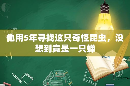 他用5年寻找这只奇怪昆虫，没想到竟是一只蝉