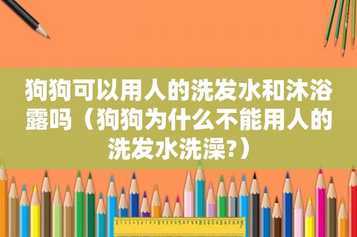 狗狗可以用人的洗发水和沐浴露吗（狗狗为什么不能用人的洗发水洗澡?）