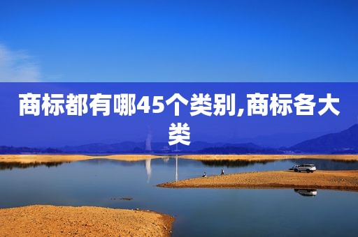 商标都有哪45个类别,商标各大类