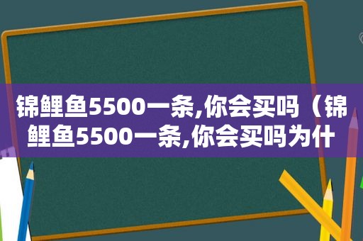 锦鲤鱼5500一条,你会买吗（锦鲤鱼5500一条,你会买吗为什么）