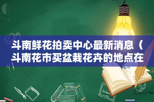 斗南鲜花拍卖中心最新消息（斗南花市买盆栽花卉的地点在哪里）
