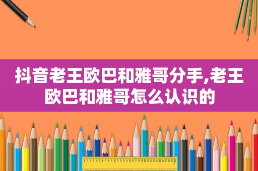 抖音老王欧巴和雅哥分手,老王欧巴和雅哥怎么认识的